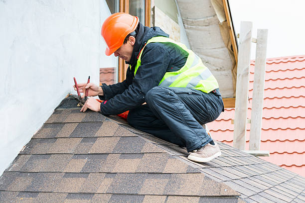 Professional Roofing Contractor in Circle Pines, MN